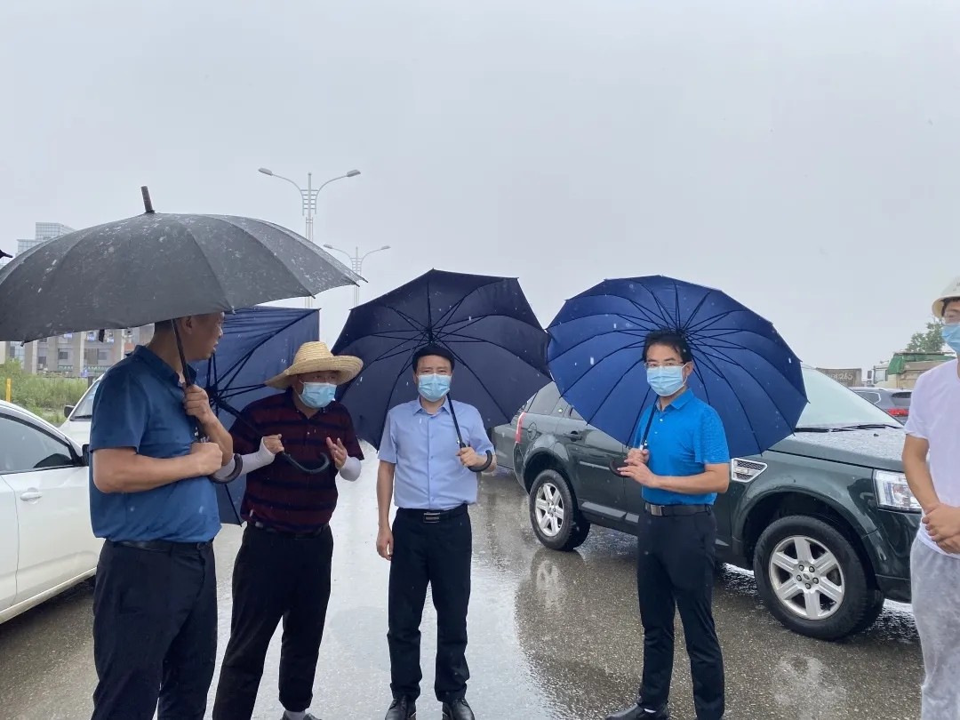 640.webp (5).jpg 640.webp (5).jpg