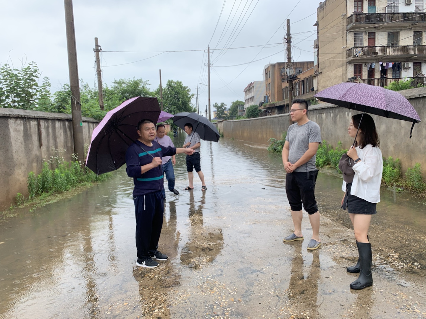 466a9408-c29c-4b4e-a14f-5dd214dbffe4.jpg 466a9408-c29c-4b4e-a14f-5dd214dbffe4.jpg